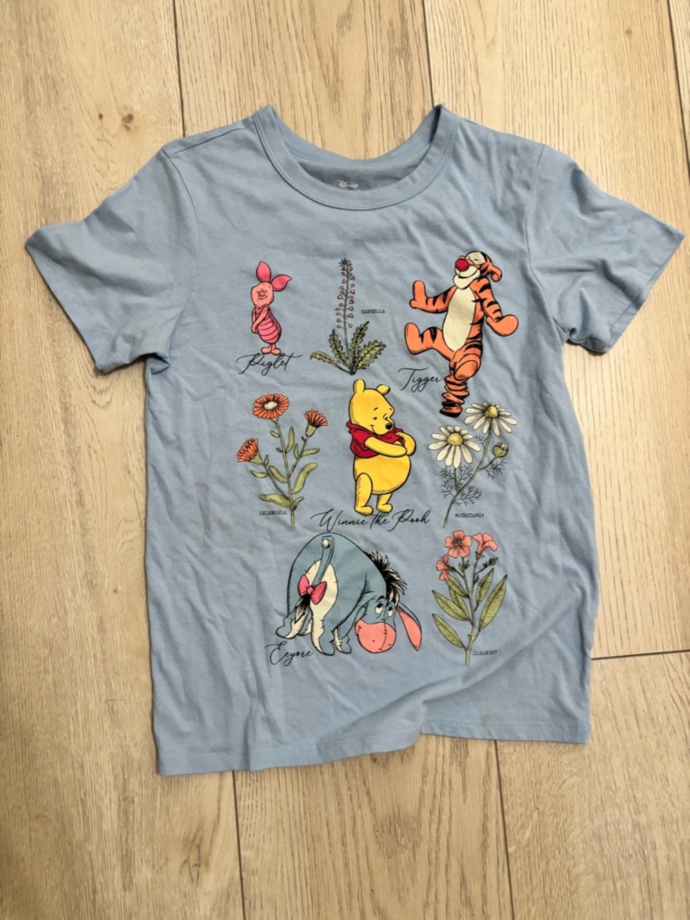 Winnie the Pooh Characters Light Blue  T-Shirt